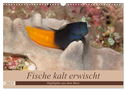 Sven Gruse taucht ab! Fische kalt erwischt (Wandkalender 2025 DIN A3 quer), CALVENDO Monatskalender