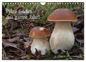 Pilze finden - das ganze Jahr! (Wandkalender 2025 DIN A4 quer), CALVENDO Monatskalender