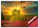 Die Heideblüte (Wandkalender 2024 DIN A2 quer), CALVENDO Monatskalender