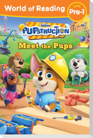 World of Reading: Pupstruction: Meet the Pups