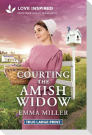 Courting the Amish Widow