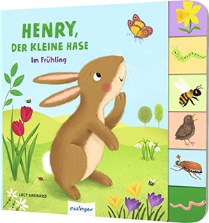 Kiel, Anja. Mein erstes Jahreszeitenbuch: Henry, der kleine Hase - Im Frühling | Pappebuch mit Griff-Register. Esslinger Verlag, 2023.