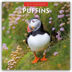 Red, Robin. Puffins - Papageitaucher 2027 - 16-Monatskalender - Original Red Robin Publishing Ltd-Kalender [Mehrsprachig] [Kalender]. Browntrout Verlags GmbH, 2026.