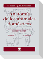 Anatomía de los animales domésticos. Tomo I