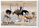 Strauße. Afrikas schöne Laufvögel (Tischkalender 2024 DIN A5 quer), CALVENDO Monatskalender