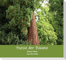 Poesie der Bäume