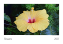 Flowers Kalender 2027