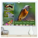Heimische Vögel des Jahres (hochwertiger Premium Wandkalender 2024 DIN A2 quer), Kunstdruck in Hochglanz
