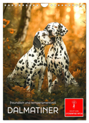 Dalmatiner - freundlich und temperamentvoll (Wandkalender 2025 DIN A4 hoch), CALVENDO Monatskalender