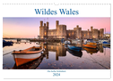 Wildes Wales (Wandkalender 2024 DIN A3 quer), CALVENDO Monatskalender