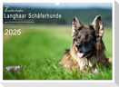 Zauberhafte Langhaar Schäferhunde (Wandkalender 2025 DIN A3 quer), CALVENDO Monatskalender