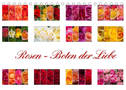 Rosen - Boten der Liebe (Tischkalender 2023 DIN A5 quer)