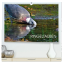Ringeltauben (hochwertiger Premium Wandkalender 2024 DIN A2 quer), Kunstdruck in Hochglanz