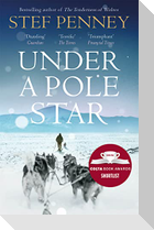 Under a Pole Star