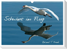 Schwäne im Flug (Wandkalender 2024 DIN A3 quer), CALVENDO Monatskalender