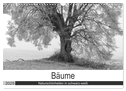Bäume - Naturschönheiten in schwarz-weiß (Wandkalender 2025 DIN A3 quer), CALVENDO Monatskalender