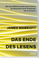 Das Ende des Lesens