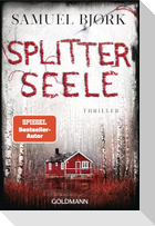 Splitterseele