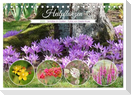Heilpflanzen - Schätze im Garten (Tischkalender 2025 DIN A5 quer), CALVENDO Monatskalender