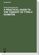 A Practical Guide to the Therapy of Type-II-Diabetes