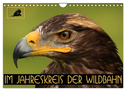 Im Jahreskreis der Wildbahn (Wandkalender 2024 DIN A4 quer), CALVENDO Monatskalender