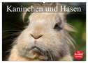 Kaninchen und Hasen (Wandkalender 2024 DIN A2 quer), CALVENDO Monatskalender