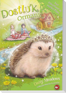 Dostluk Ormani 06 - Inci Dikenlisirtin Harika Plani