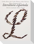 Breve historia de la literatura española