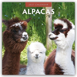 Red, Robin. Alpacas - Alpakas 2027 - 16-Monatskalender - Original Red Robin Publishing Ltd-Kalender [Mehrsprachig] [Kalender]. Browntrout Verlags GmbH, 2026.