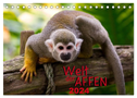 Welt der Affen (Tischkalender 2024 DIN A5 quer), CALVENDO Monatskalender