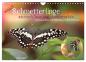 achja?! Schmetterlinge, exotisch, bunt und wunderschön (Wandkalender 2024 DIN A4 quer), CALVENDO Monatskalender