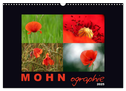 MOHNographie (Wandkalender 2025 DIN A3 quer), CALVENDO Monatskalender