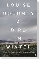 A Bird in Winter
