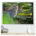 Wildkatzen - die anmutigsten Raubiere in Europa. (hochwertiger Premium Wandkalender 2025 DIN A2 quer), Kunstdruck in Hochglanz