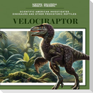 Velociraptor