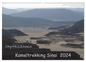 Impressionen Kameltrekking Sinai 2024 (Wandkalender 2024 DIN A3 quer), CALVENDO Monatskalender