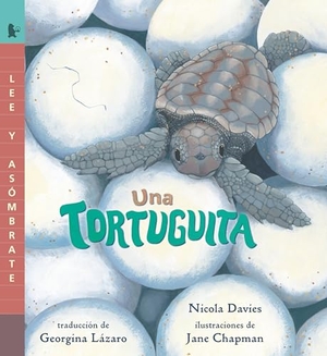 Davies, Nicola. Una Tortuguita - Lee Y Asómbrate. Candlewick Press (MA), 2024.