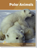 Polar Animals
