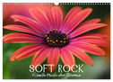 Soft Rock - Visuelle Musik der Blumen (Wandkalender 2024 DIN A3 quer), CALVENDO Monatskalender