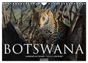 Botswana ¿ Landschaft und Tierwelt (Wandkalender 2024 DIN A4 quer), CALVENDO Monatskalender