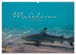 Rodriguez Photography, Clave. Unterwasserwelt der Malediven I (Wandkalender 2024 DIN A2 quer), CALVENDO Monatskalender - Die vielfältige und faszinierende Unterwasserwelt der Malediven.. Calvendo Verlag, 2023.