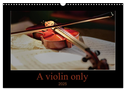 A violin only (Wall Calendar 2025 DIN A3 landscape), CALVENDO 12 Month Wall Calendar