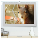 Eichhörnchen - Süße Nussknacker (hochwertiger Premium Wandkalender 2024 DIN A2 quer), Kunstdruck in Hochglanz