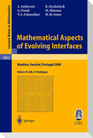 Mathematical Aspects of Evolving Interfaces