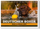 Deutscher Boxer - Boxer im Wasser 2024 (Tischkalender 2024 DIN A5 quer), CALVENDO Monatskalender