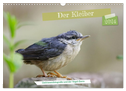Der Kleiber - Ostfriesenfotografie und der Vogel-Zorro (Wandkalender 2024 DIN A3 quer), CALVENDO Monatskalender