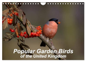 Popular garden birds of the united kingdom (Wall Calendar 2024 DIN A4 landscape), CALVENDO 12 Month Wall Calendar