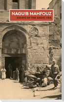 Essays of the Sadat Era