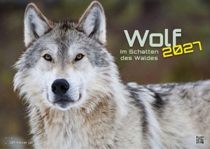 GP-Fever. de (Hrsg.). Wolf - Im Schatten des Waldes - 2027 - Kalender DIN A3 - Der Wandkalender mit den schönsten Wolf-Fotografien für das Jahr 2027 im Format DIN A3 (ca. 42 x 30 cm)!. GP-Fever.de, 2026.