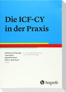 Die ICF-CY in der Praxis